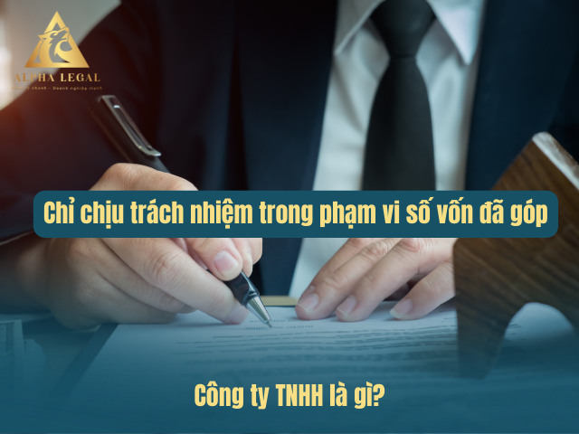 Hiểu rõ về công ty trách nhiệm hữu hạn