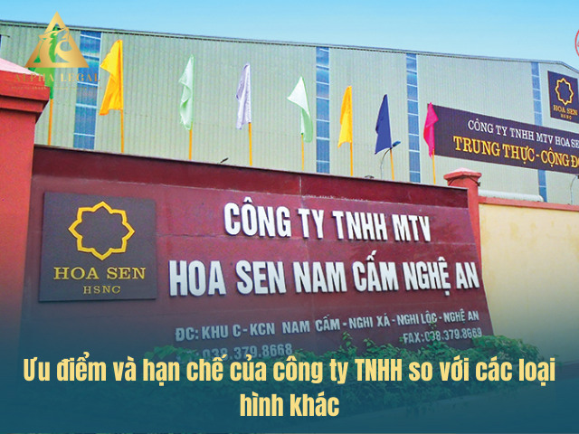 Ưu điểm khi thành lập công ty TNHH