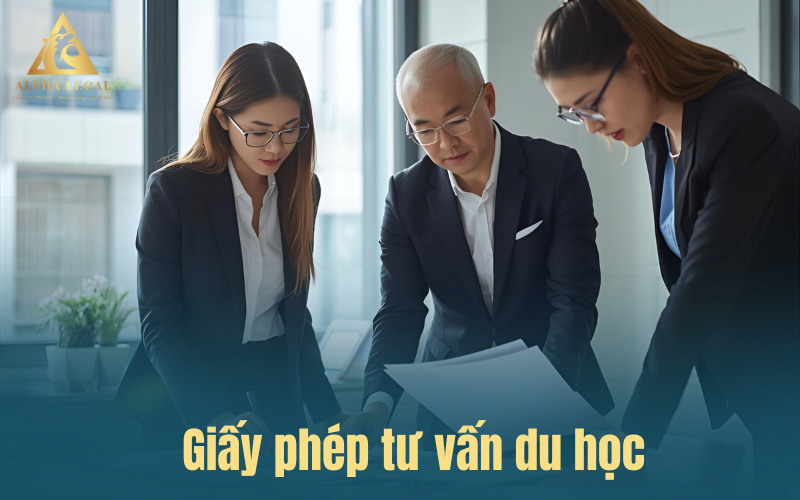 Giấy phép tư vấn du học: Điều kiện, hồ sơ, thủ tục mới nhất