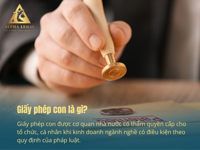 Định nghĩa về giấy phép con