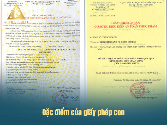 Những đặc điểm cơ bản của giấy phép con