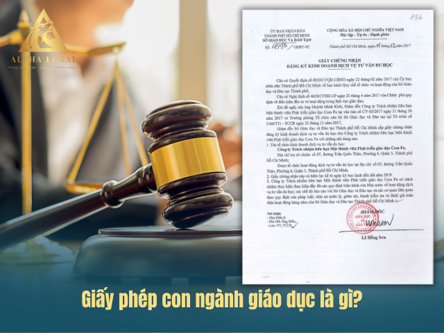 Mẫu giấy phép con kinh doanh ngành giáo dục