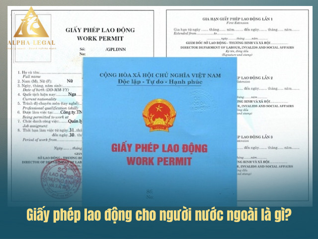 Mẫu giấy phép lao động cho người nước ngoài