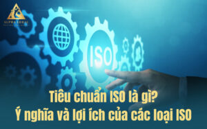 Tiêu chuẩn ISO là gì? Ý nghĩa các loại ISO phổ biến hiện nay