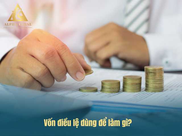 vốn điều lệ để làm gì